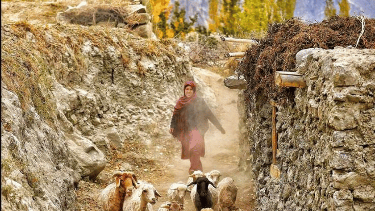 Traditional houses of Gilgit Baltistan.